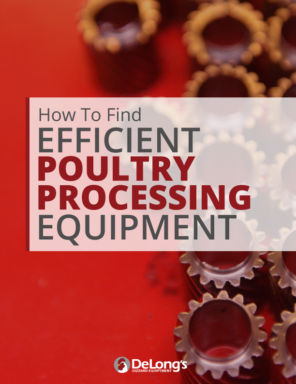How To Find Efficient Poultry Processing Equipment