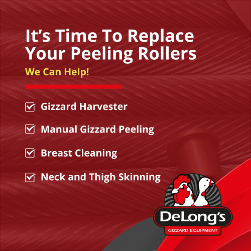 Social Replacement Peeling Rollers (1)